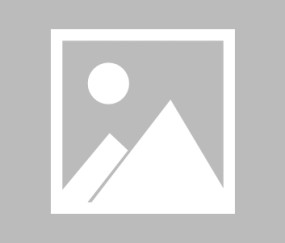 九游礼包领取-关于捷克新锐球员表现抢眼，帮助霍芬海姆获胜的信息